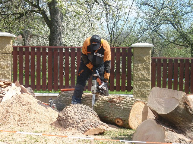img00034.jpg
