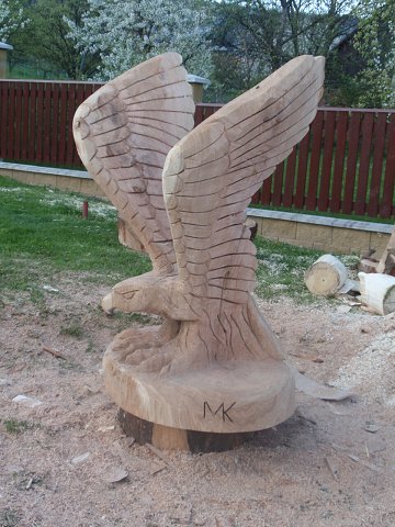 img00102.jpg